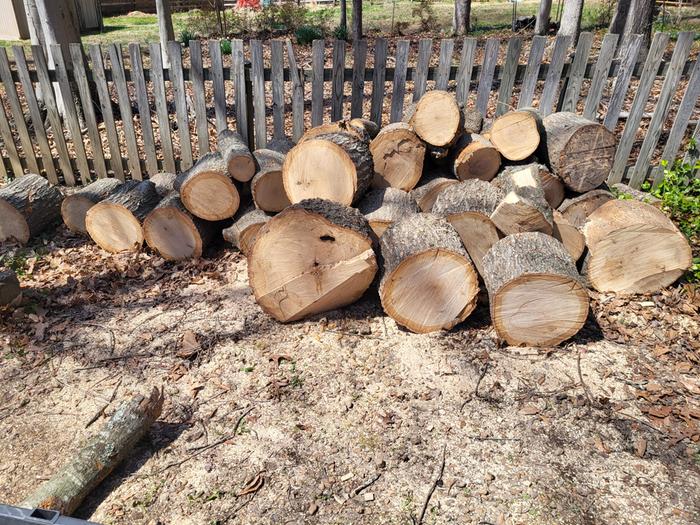 [Thumbnail for 20260331_134727.jpg]