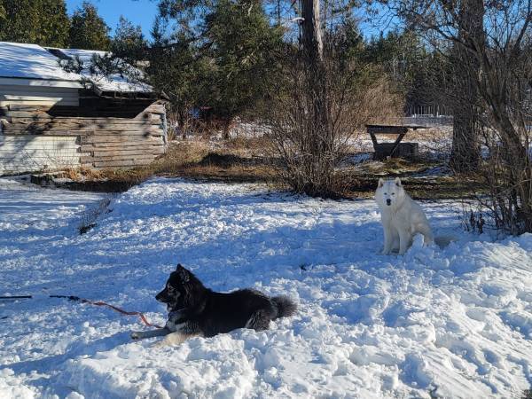 [Thumbnail for 00000_cfKvZtwYGJ3_09G07g_600x450.jpg]