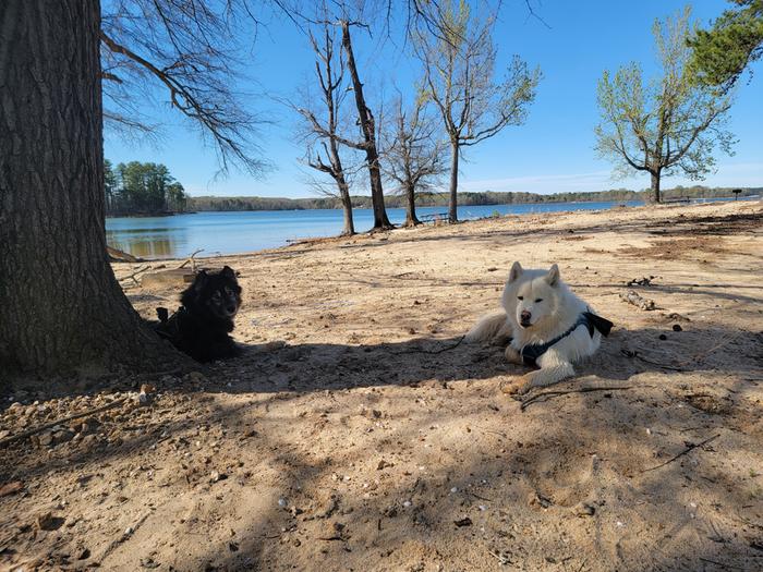 [Thumbnail for 20260329_163018.jpg]