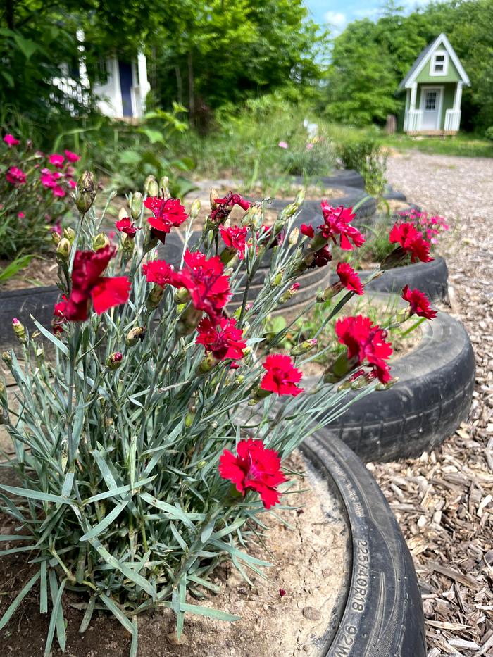 [Thumbnail for IMG_9251_Original.jpeg]