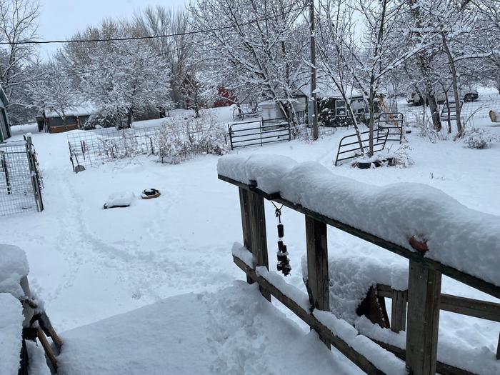 [Thumbnail for AprilShowers.jpeg]