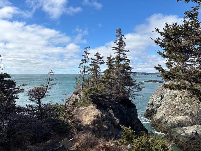 [Thumbnail for IMG_3265.jpeg]