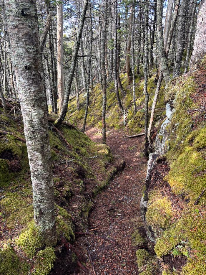 [Thumbnail for IMG_3258.jpeg]