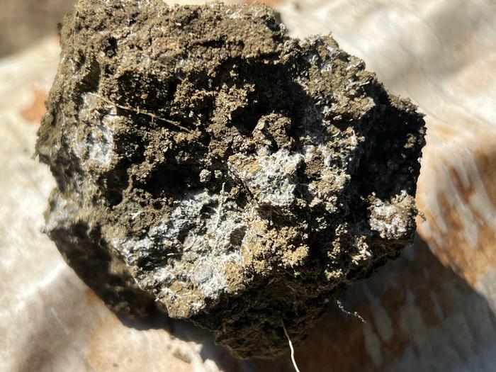 [Thumbnail for IMG_0179.jpeg]