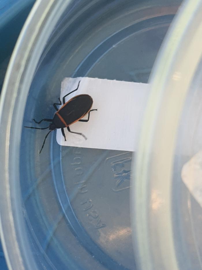 [Thumbnail for 20260404_112237.jpg]