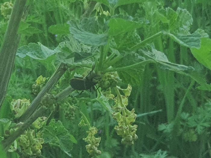 [Thumbnail for 20260404_111654.jpg]