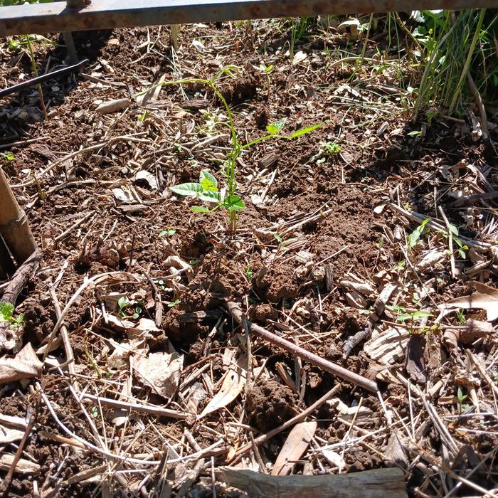 [Thumbnail for 20260405_153954.jpg]