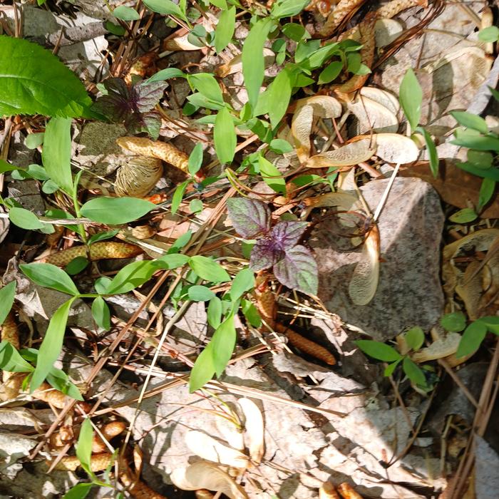 [Thumbnail for 20260405_155210.jpg]