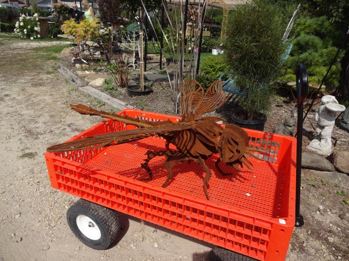 [Thumbnail for 426.JPG]