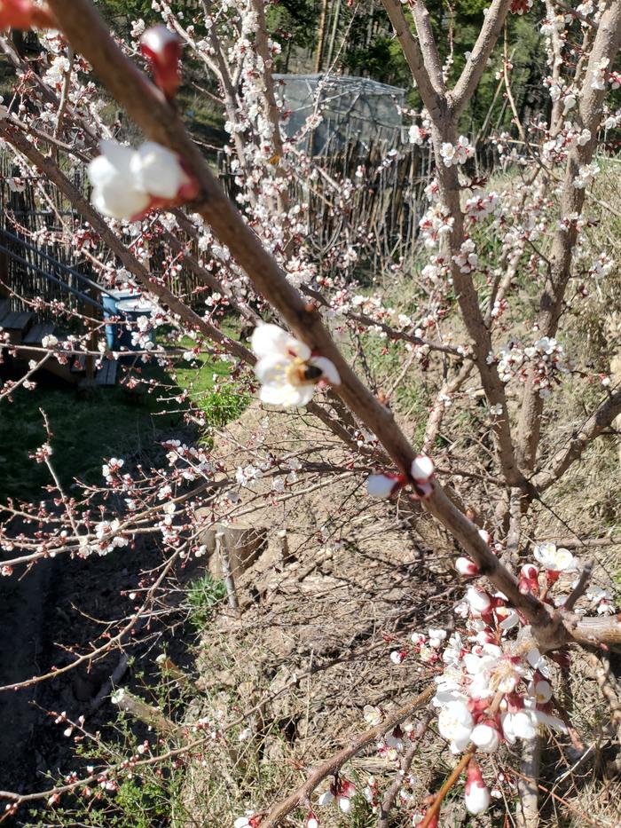 [Thumbnail for 20260406_135053.jpg]