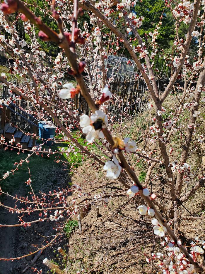 [Thumbnail for 20260406_135044.jpg]