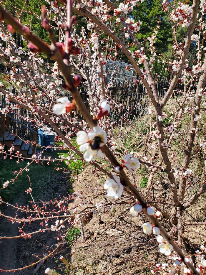 [Thumbnail for 20260406_135042.jpg]