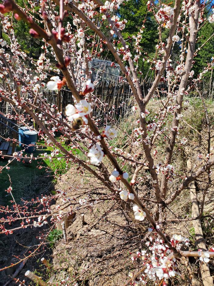 [Thumbnail for 20260406_135039.jpg]