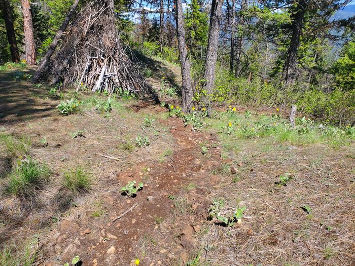 the tool shelter the boots made for me on the left