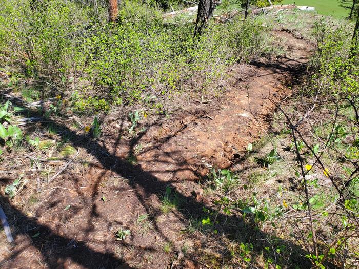 this bit of trail took me about six visits to pull out all the ninebark
