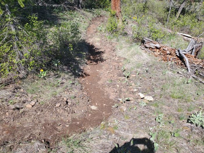 I need to wind my way over to a low spot to cut back to the cliffs