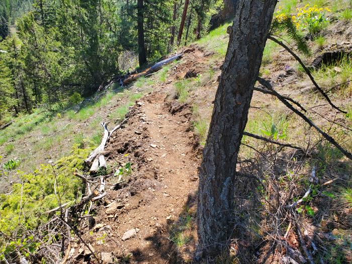 why does it seem to much steeper in real life?