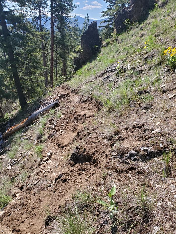 there is a rock in the trail i need to figure out - samantha did 80% of the work for this bit!