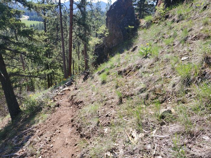 when the trail is done i might wanna come up with a name for this rock. Maybe install a bench here.