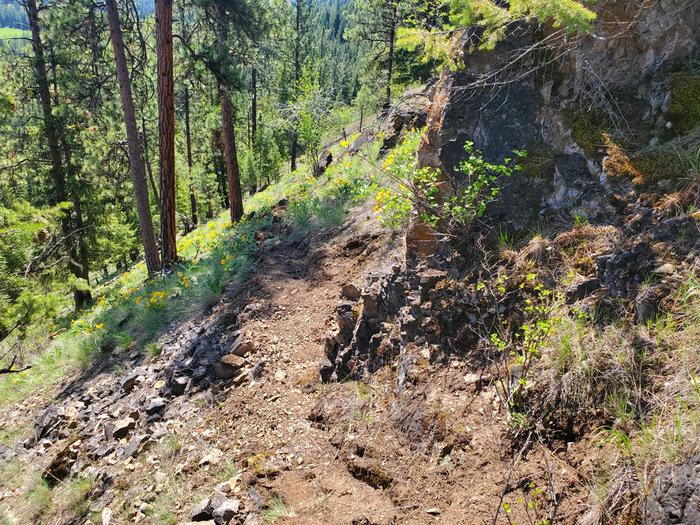 make the trail wide around this rock