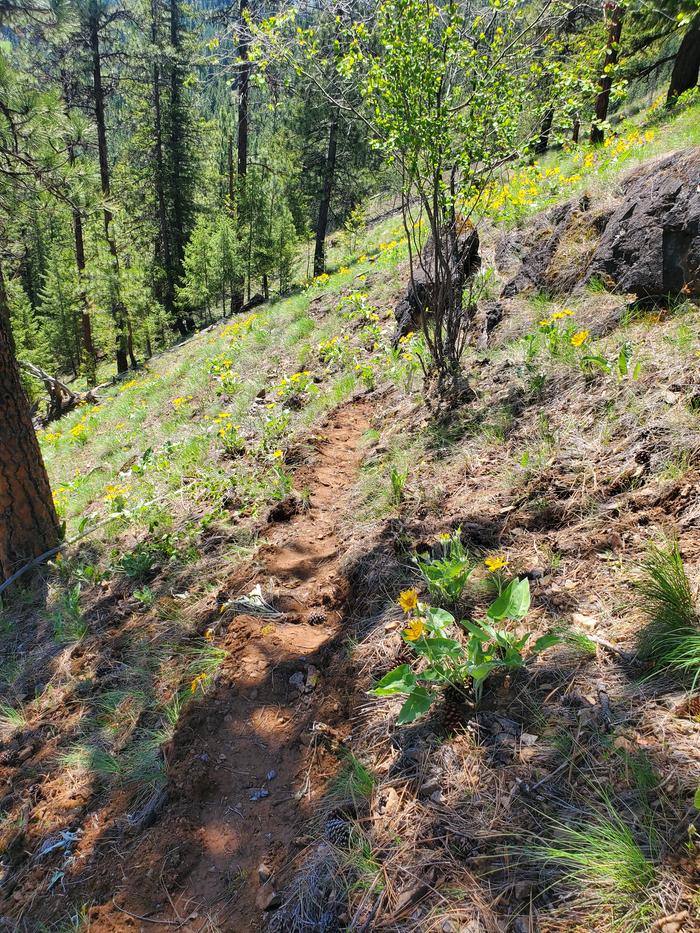 where i started trail work today