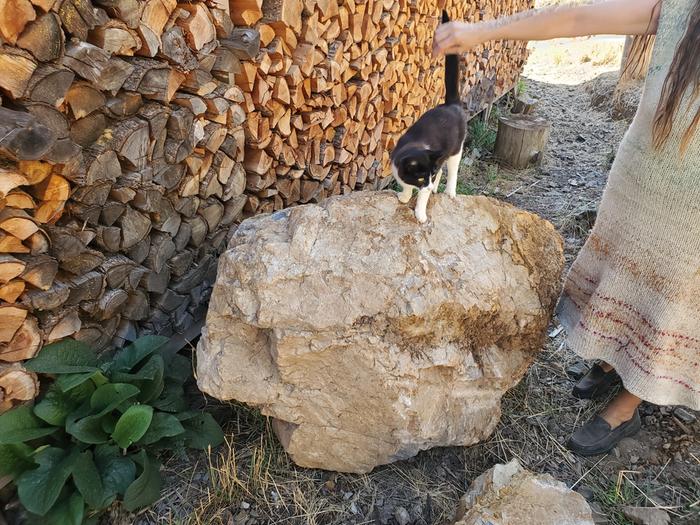 Black Spark the cat on a big rock in front of the fully stocked firewood racks at the library