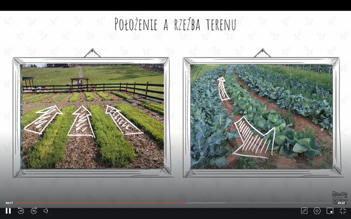 Downhill vs on contour garden beds - water flow.