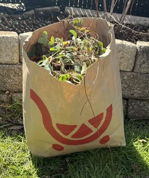 So many strawberries! It took an hour to plant them all!