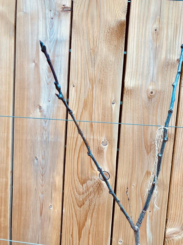 [Thumbnail for IMG_1928.jpg]