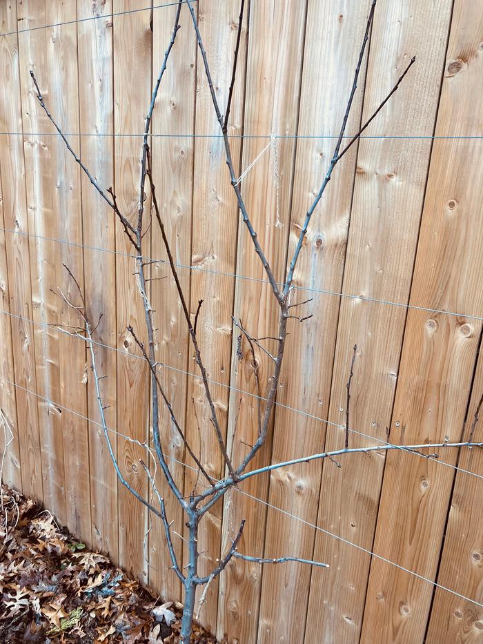 [Thumbnail for IMG_1927.jpg]