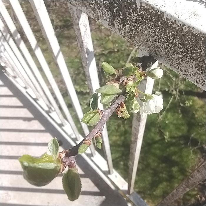 [Thumbnail for 17757587211696547064849224523927.jpg]