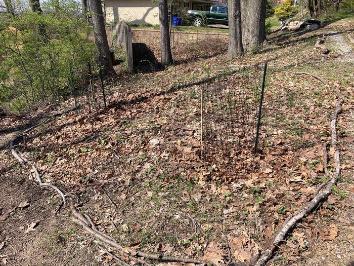 Overview of a typical bed