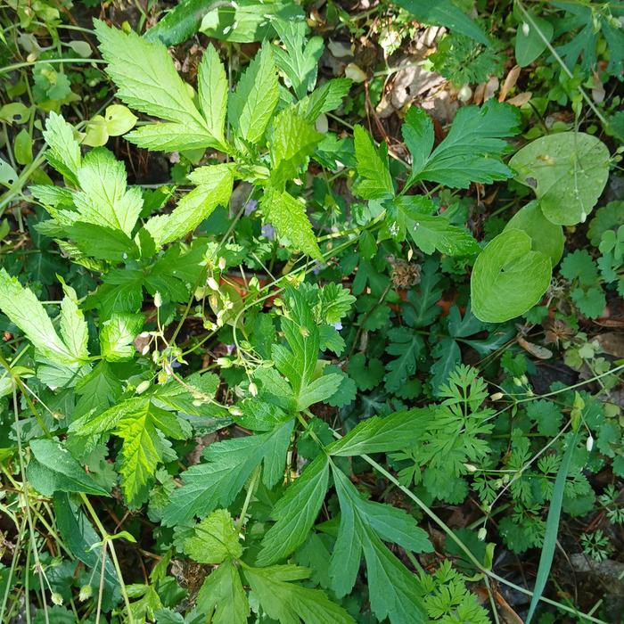 [Thumbnail for 20260408_093553.jpg]