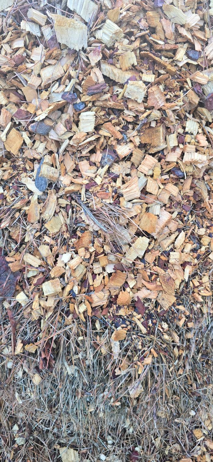 Pine chips