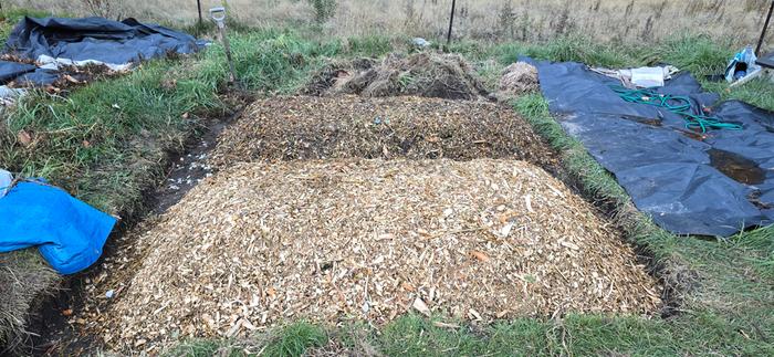 in ground raised beds mulched with woodchips