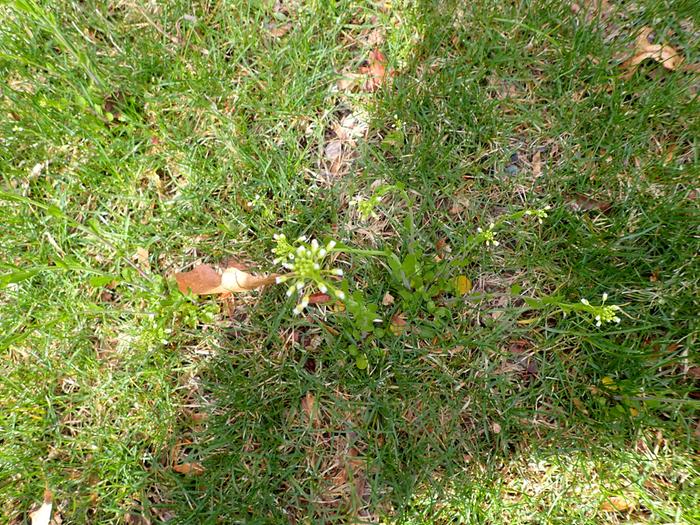 [Thumbnail for P4100004.jpeg]