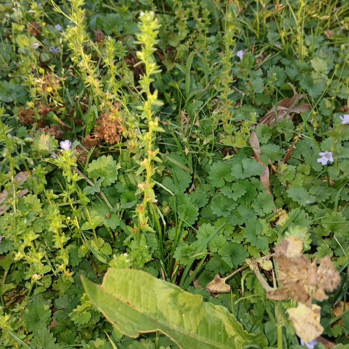 [Thumbnail for 20260411_183306.jpg]