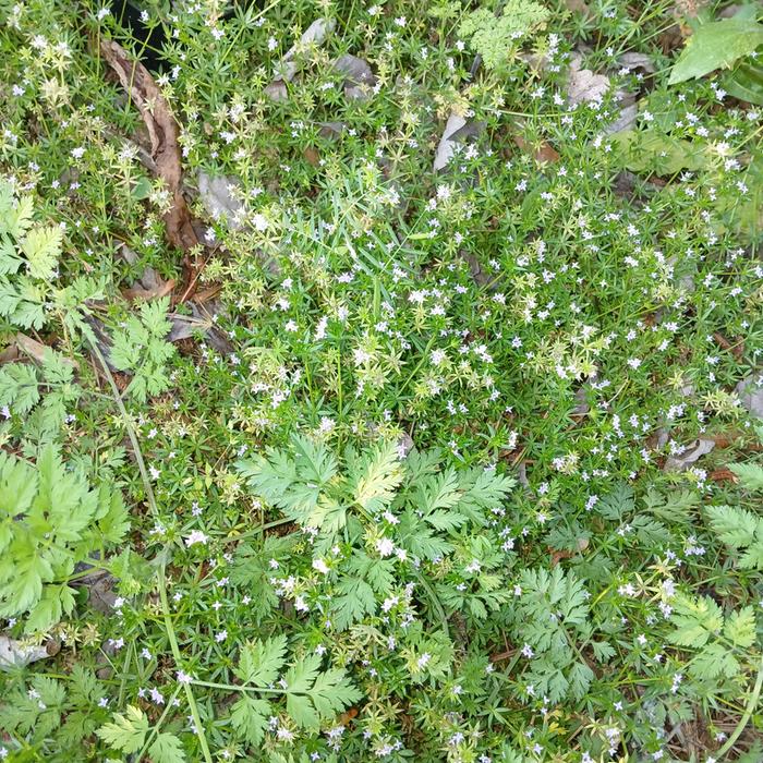 [Thumbnail for 20260411_183616.jpg]