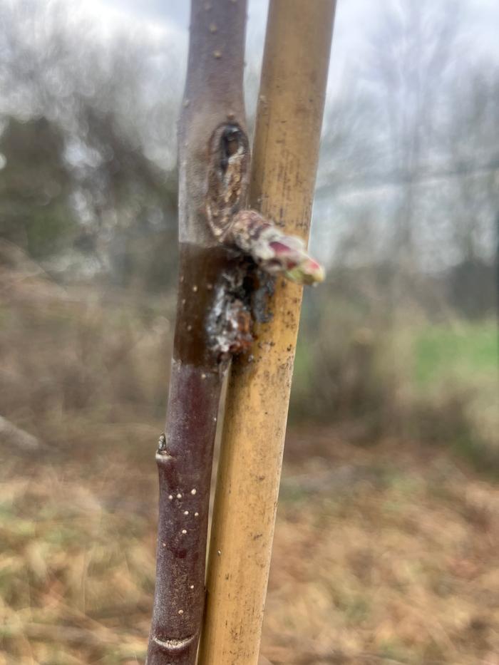 [Thumbnail for IMG_2344.jpeg]