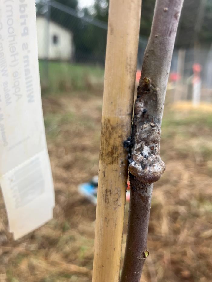 [Thumbnail for IMG_2346.jpeg]