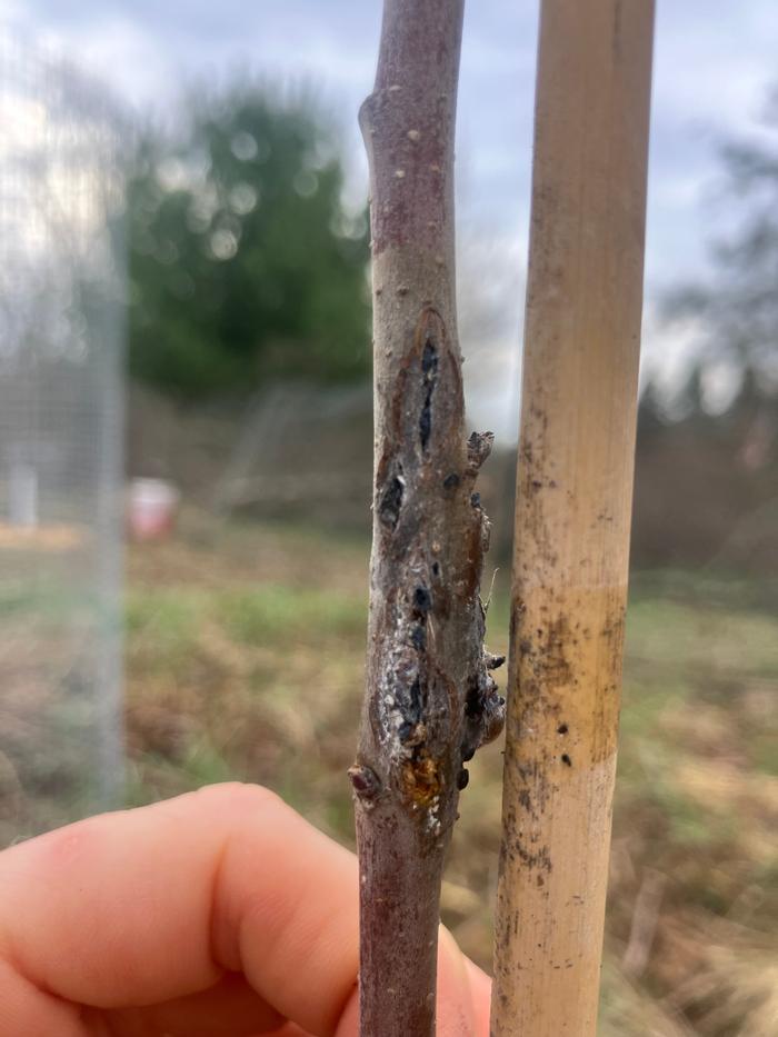 [Thumbnail for IMG_2348.jpeg]