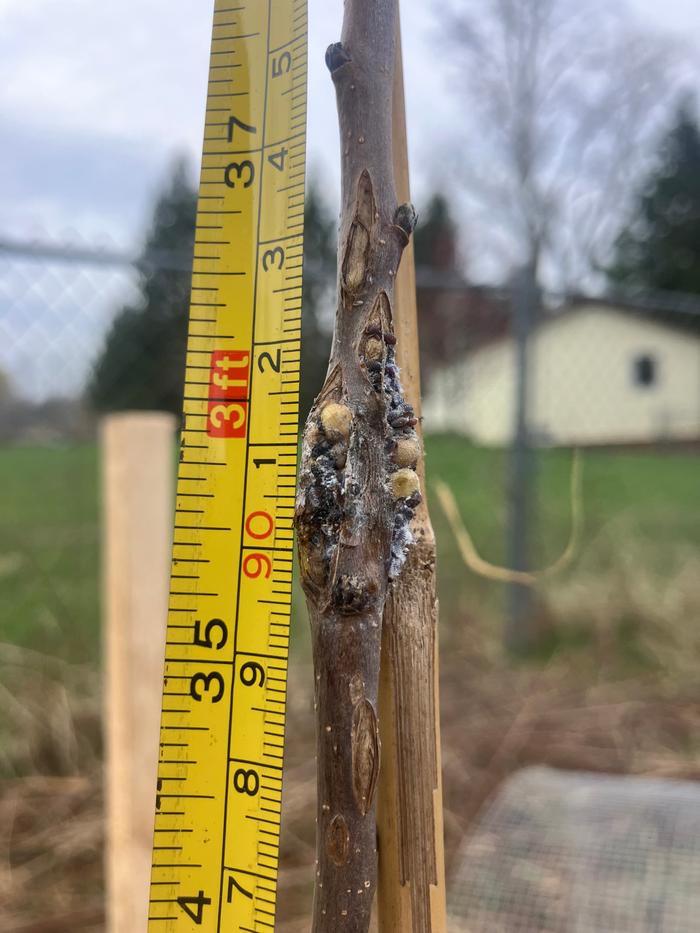 [Thumbnail for IMG_2351.jpeg]