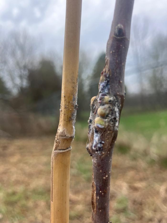 [Thumbnail for IMG_2352.jpeg]