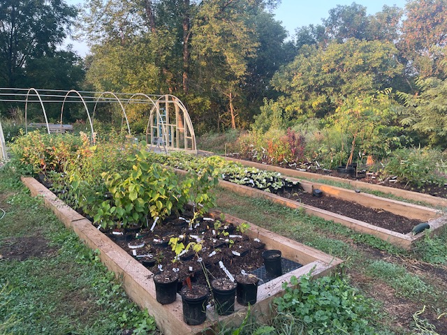 [Thumbnail for image3.jpeg]