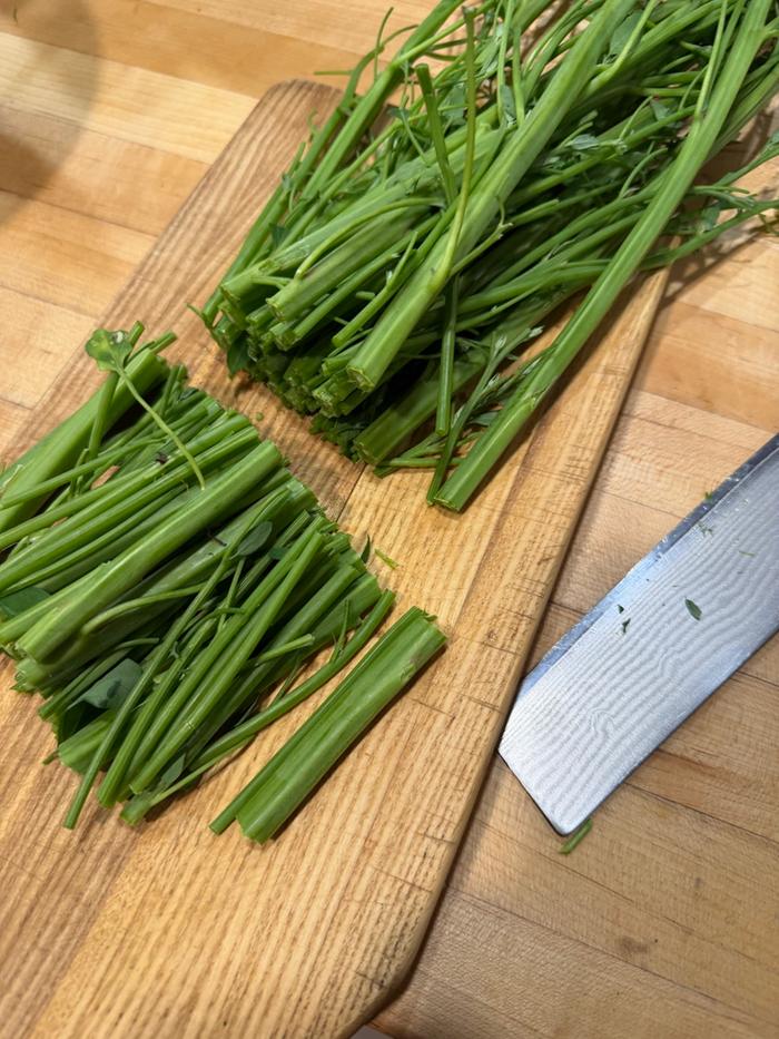 stalks to freeze for soup