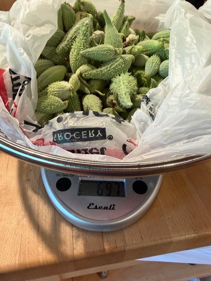 697 grams