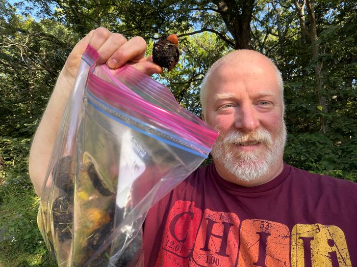 Me, harvesting fallen nuts. 