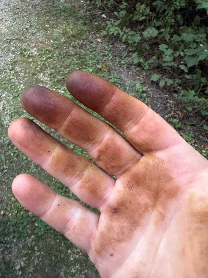 Dyed hand