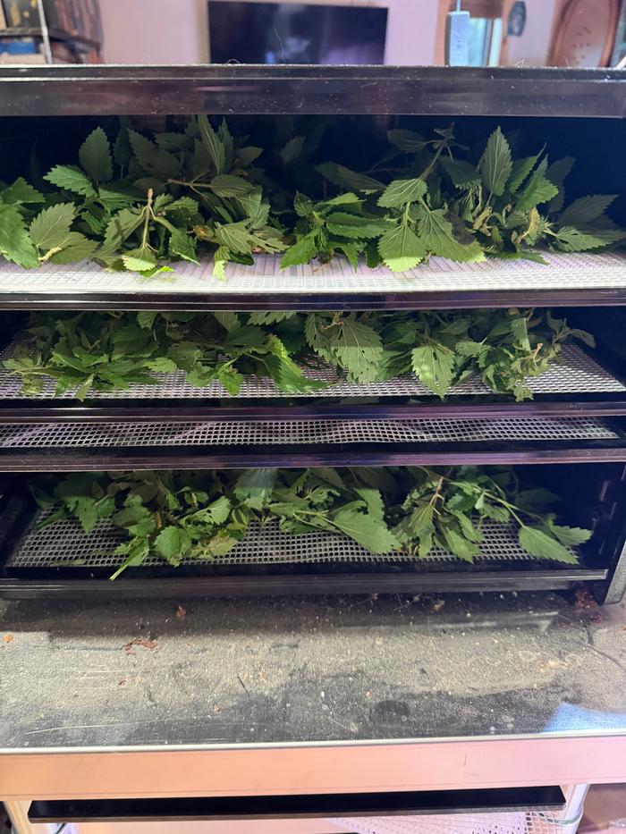 In the dehydrator