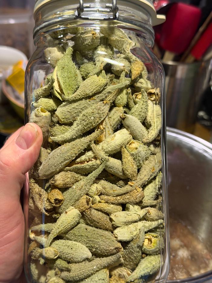 packed up for the winter